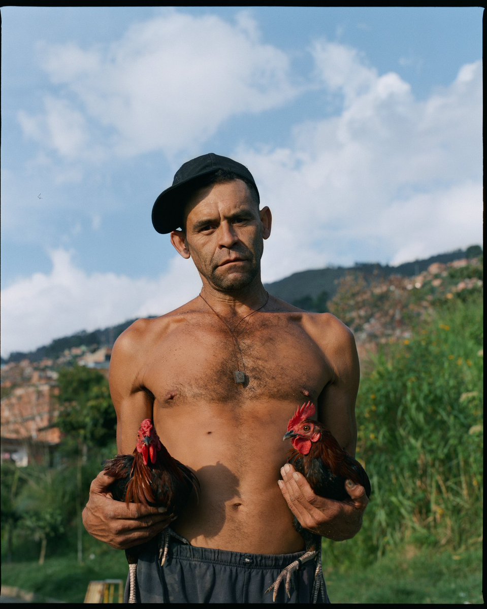 aimos 🇩🇴 tweet media