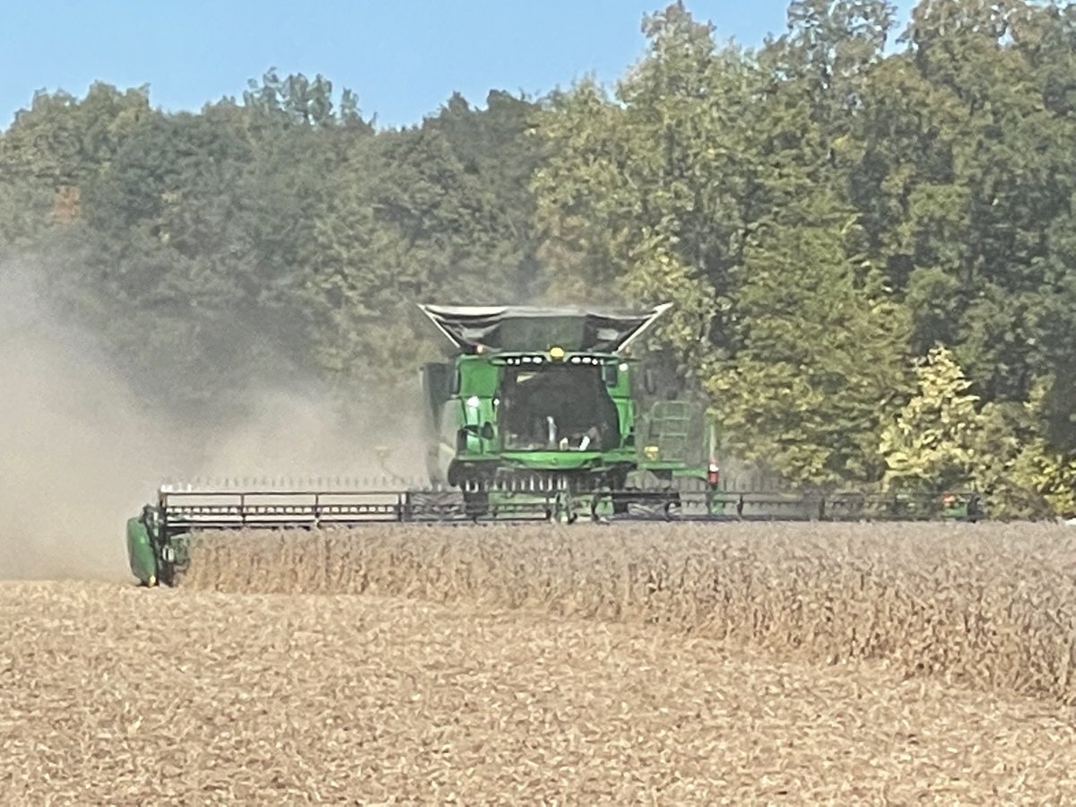 garyderck's tweet photo. Started harvest yesterday. Going to be a slow start, green beans. Isn’t this weather perfect. https://t.co/Dpb1bG1cf6