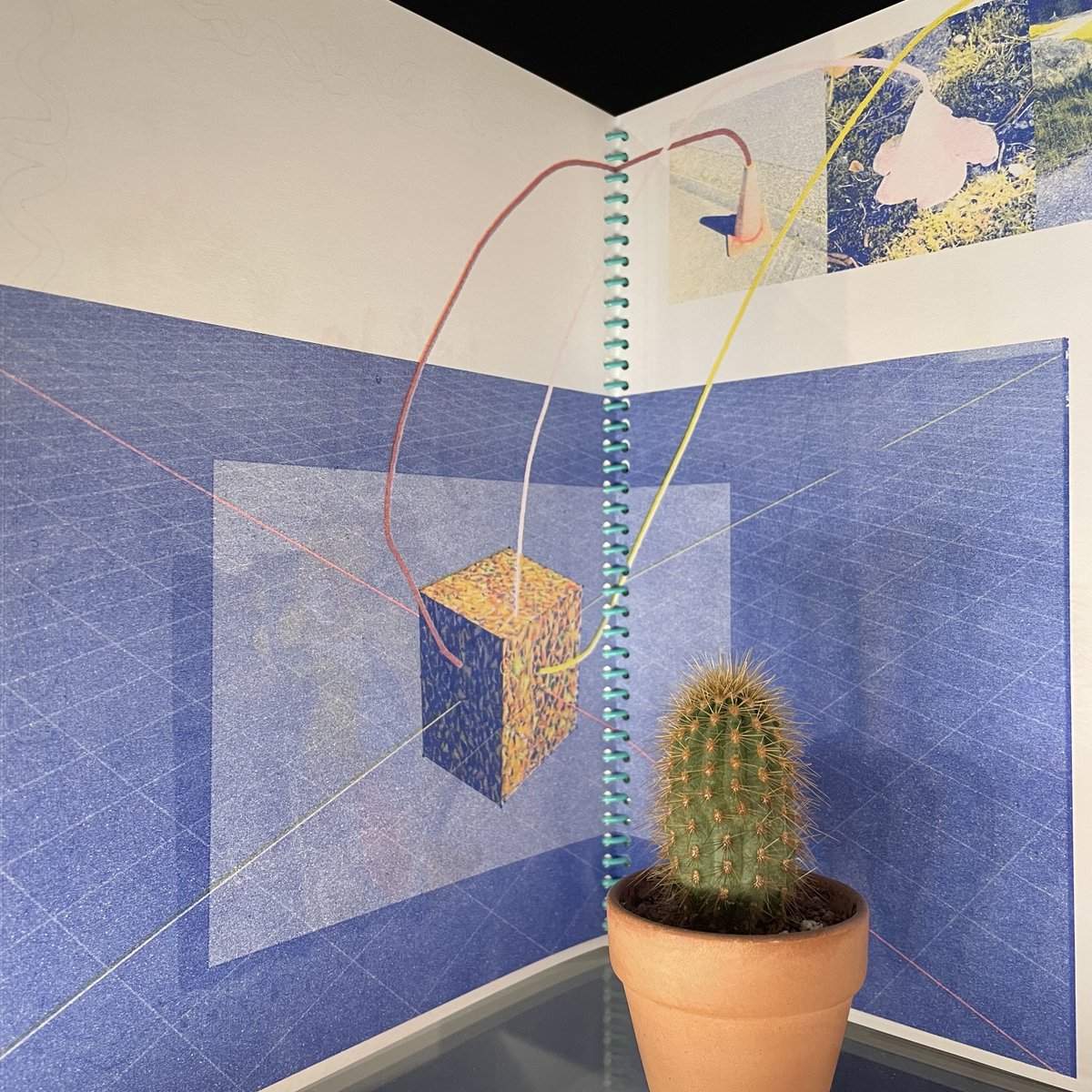 Centre A tweet media