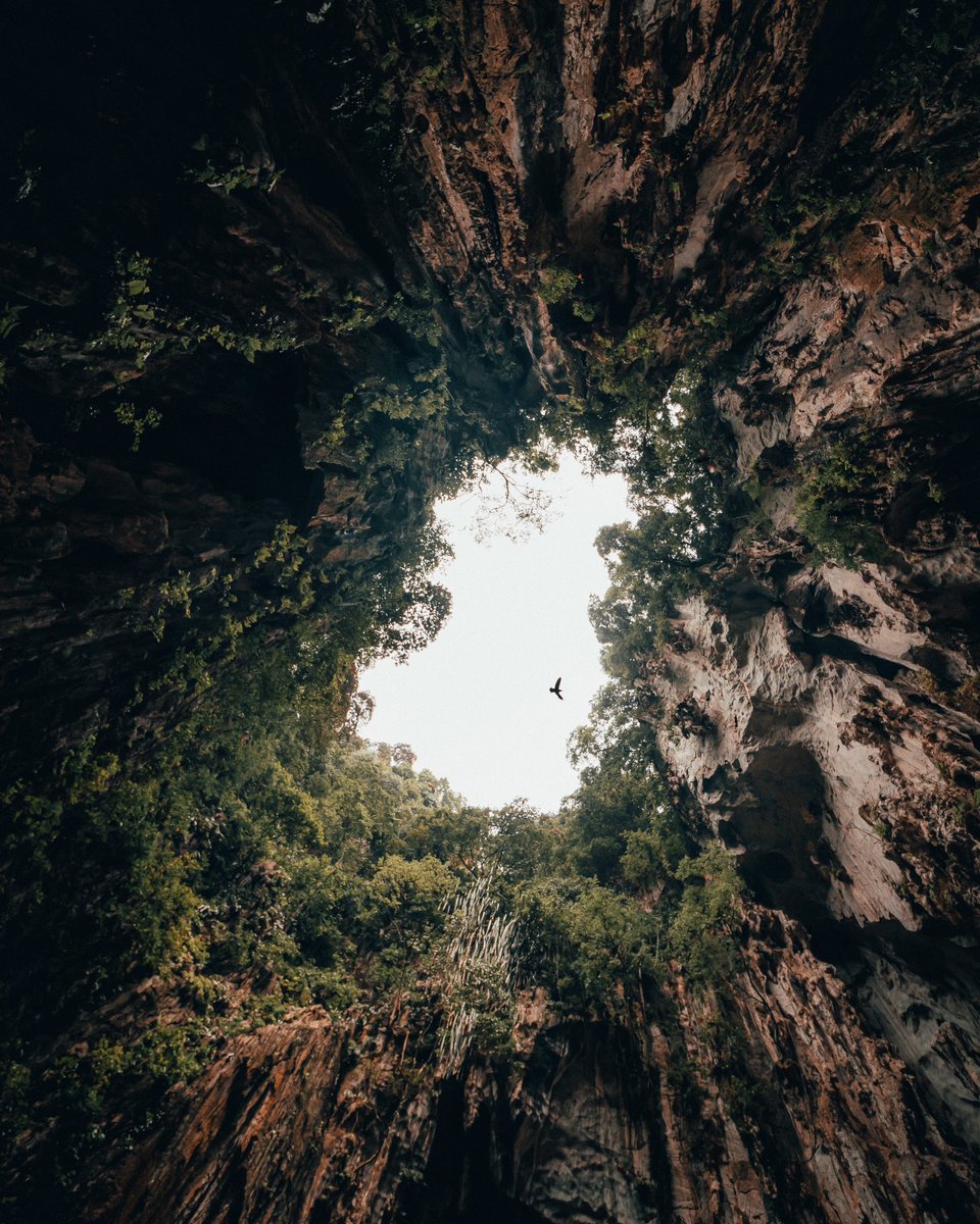 Don’t forget to look UP! 👀