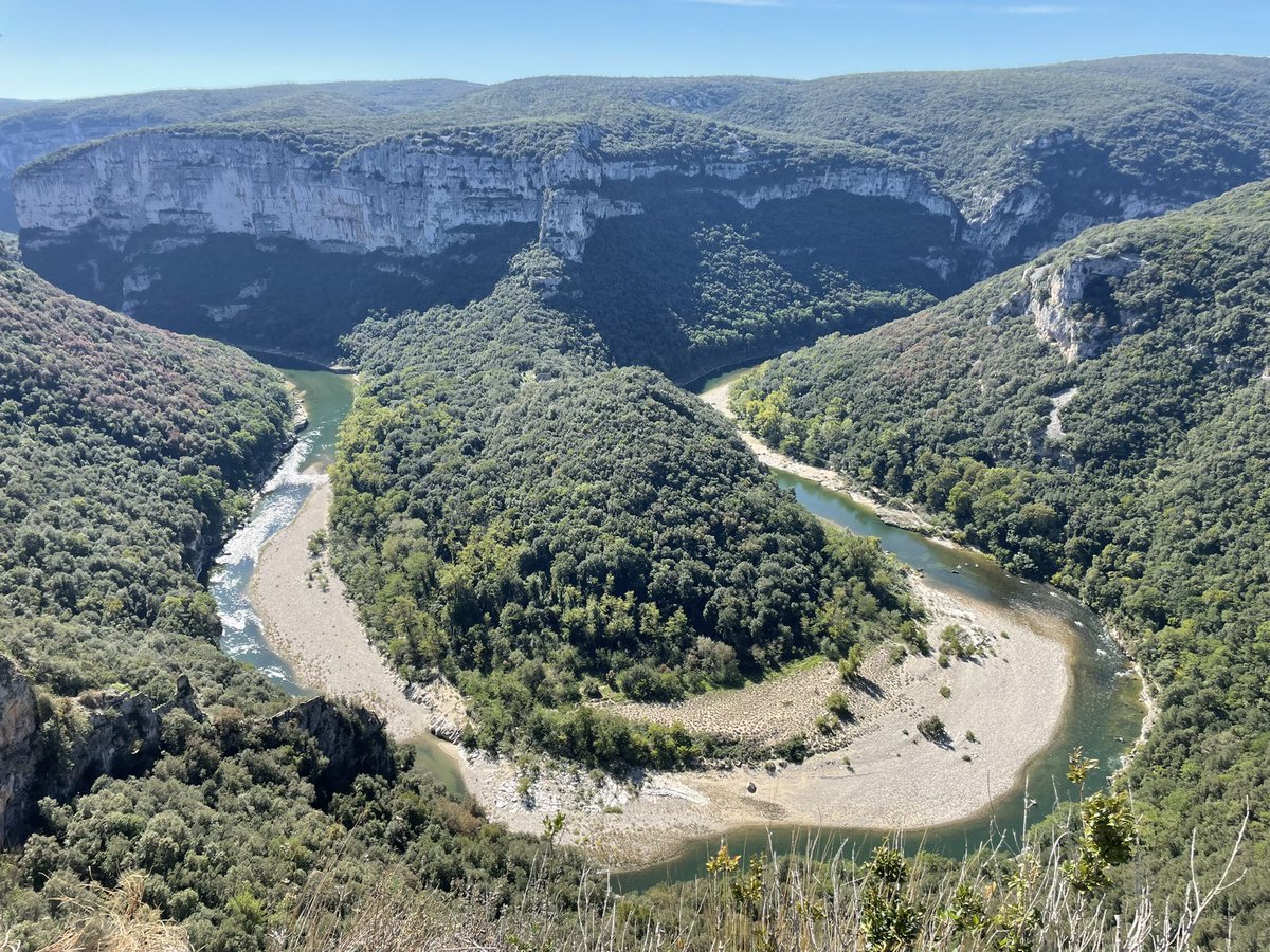 Susan Hannah tweet media