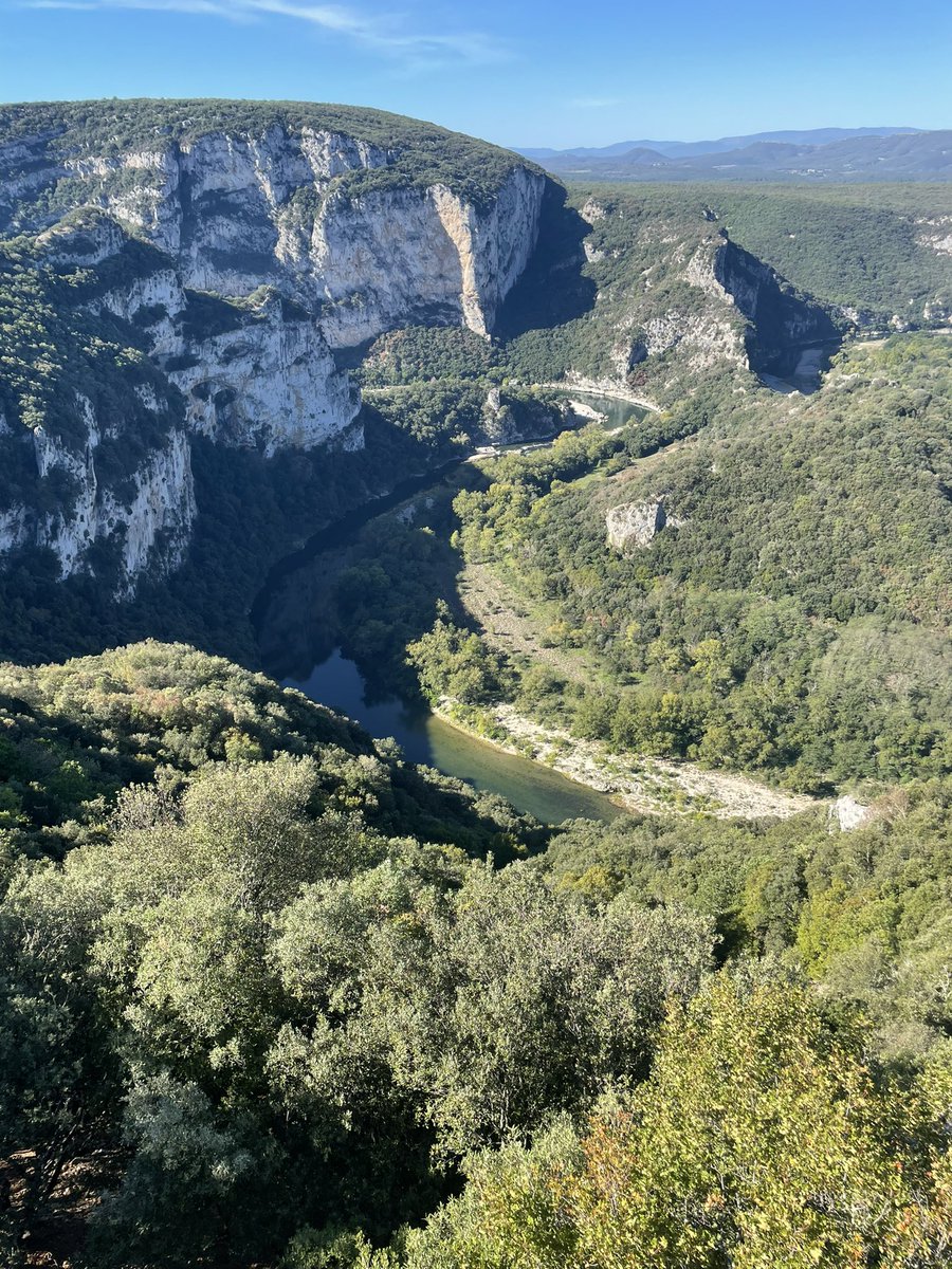 Susan Hannah tweet media