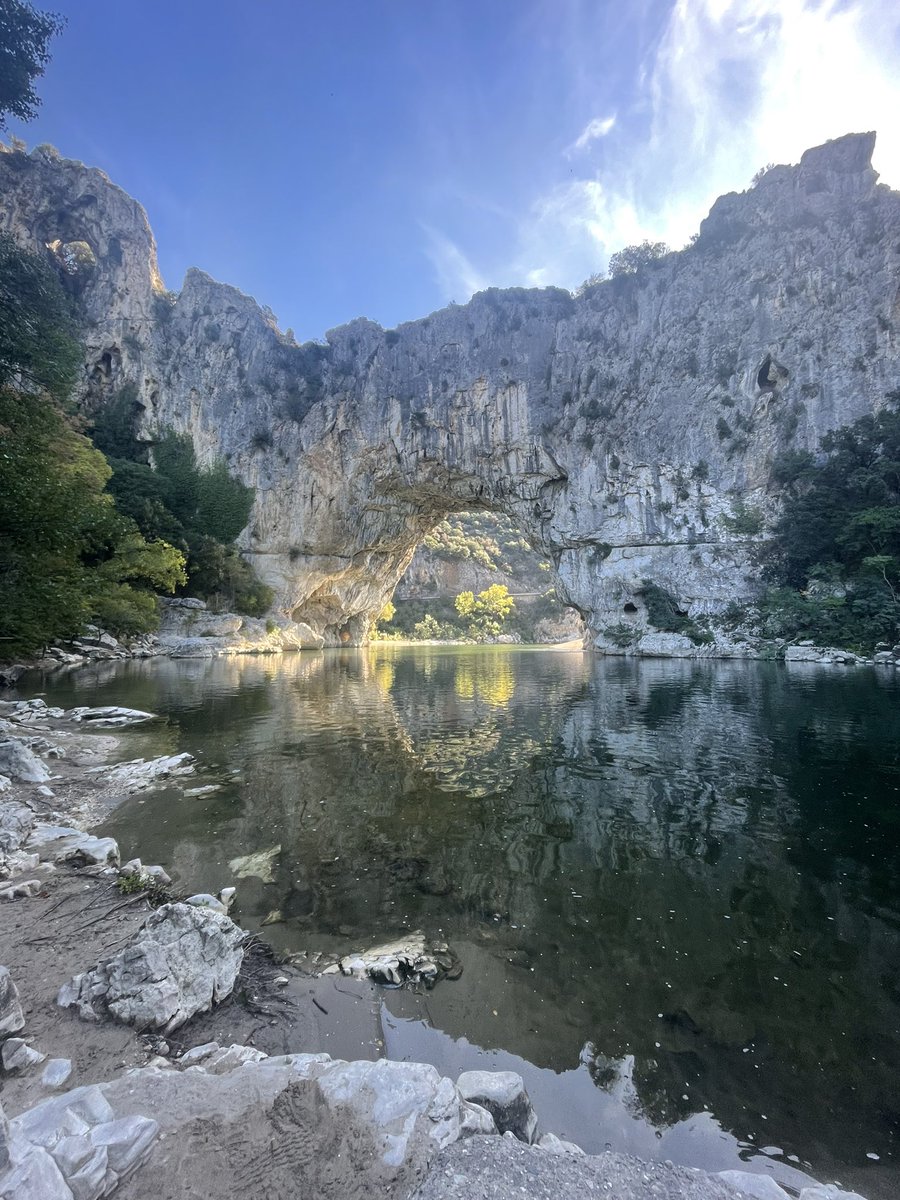 Susan Hannah tweet media