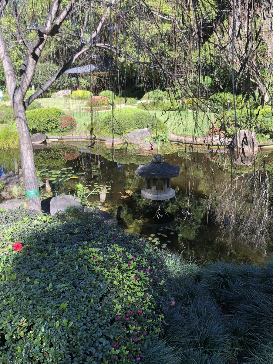 Vivystravels's tweet photo. Some more pics of these beautiful gardens. It’s well worth a visit for all garden lovers 🪴👩🌾🌱💕
#botanic #botanicgardens #explore #day #gardens #japanesegardens #love #plants #mtcootha #visitqld #brisbane #qld https://t.co/DAypd52Rgv