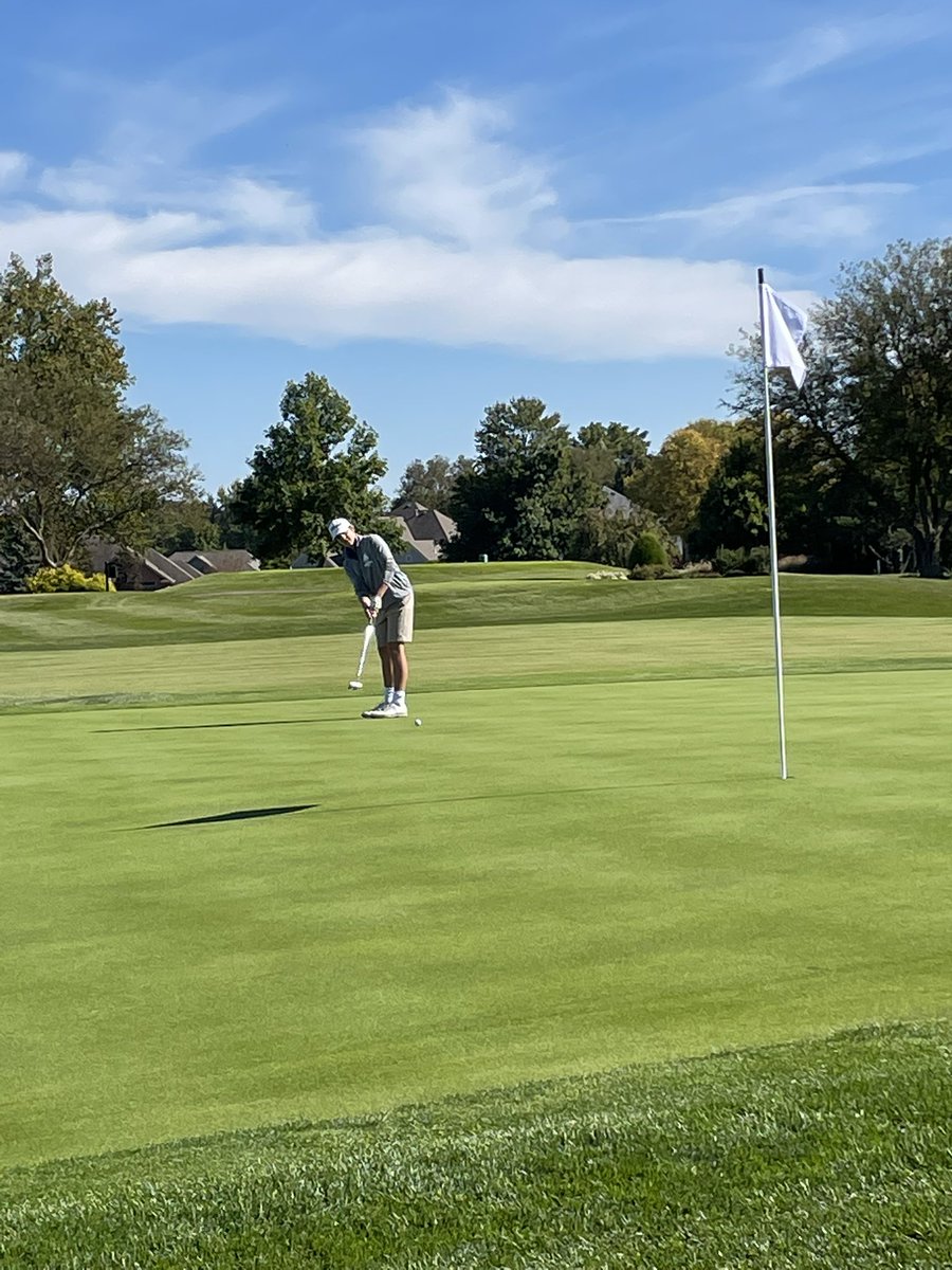 Madeira Golf Teams tweet media