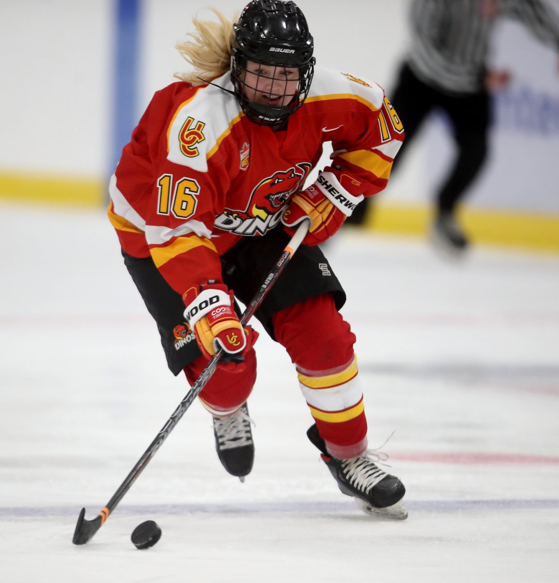 sherwoodhockey's tweet photo. The University of Calgary Womenโs Team has hit the ice in style ๐๐ฆ
#CODETMP #SetTheTempo
๐ธ: David Moll https://t.co/dGhxmS5q2G