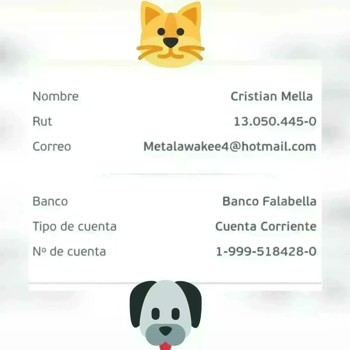 Que harás con tu libertad? Salvarlos a ellos 🐱🐶 tweet media