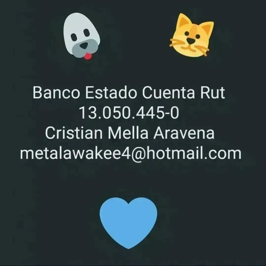 Que harás con tu libertad? Salvarlos a ellos 🐱🐶 tweet media