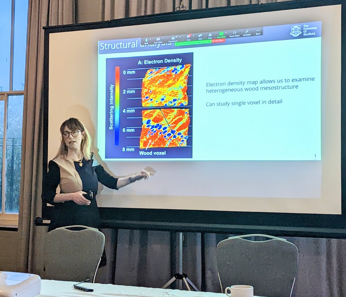 Thanks to Serena Cussen from <a href="/msesheffield/">Materials at TUoS</a>. A brilliant lecture discussing magnetic nanoparticles for the preservation of the Mary Rose ship through to #sustainable materials for #batteries. Our next event is the quiz next week and then a lecture on the 1st November.