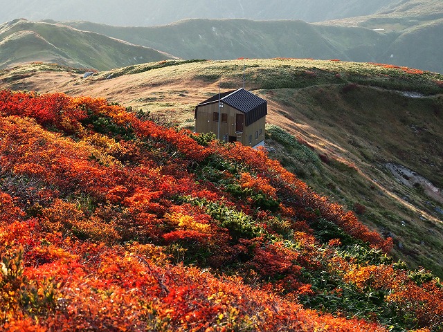 alpainski's tweet photo. 大朝日岳～竜門山～狐小屋まではまだ今一つの紅葉の様だが、以東岳～オツボ峰～茶畑山方面は実に見事な紅葉で、以東岳から見る大朝日岳方面の主稜線を上回る素晴らしい光景だった。＃朝日連峰＃以東小屋＃以東岳＃大鳥池https://t.co/oeSPa5fIxY https://t.co/TII34Xxc6r