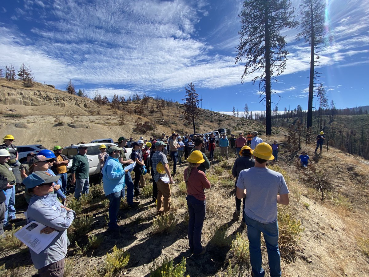CAsWatershed's tweet photo. After the @CAwildfireTF meeting, SNC staff were able to participate in a tour with partners of a #reforestation project area. Reforestation projects like these, allow for accelerated development of #forested #ecosystems following large, damaging events events such as #wildfire https://t.co/9rYxAnLeVs