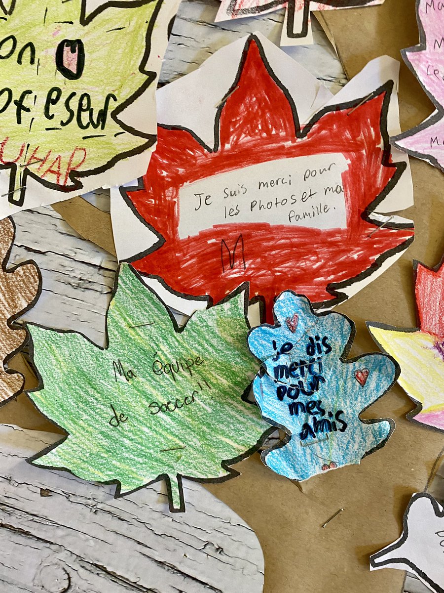 Madame_Kennedy's tweet photo. Our class met with our grade six buddy readers today and made a collaborative thankful tree! 🥹#jedismercipour #thankfultree @MDEschool @NLESDCA #nlesdfr 🦃🍂🍁🌳 https://t.co/6OUXE9bBr6