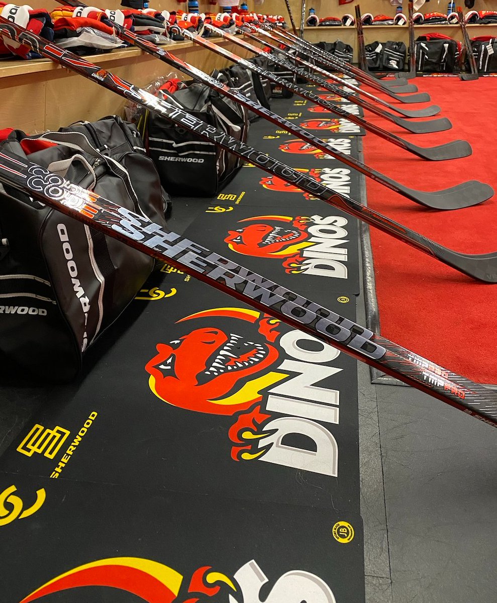 sherwoodhockey's tweet photo. The University of Calgary Womenโs Team has hit the ice in style ๐๐ฆ
#CODETMP #SetTheTempo
๐ธ: David Moll https://t.co/dGhxmS5q2G