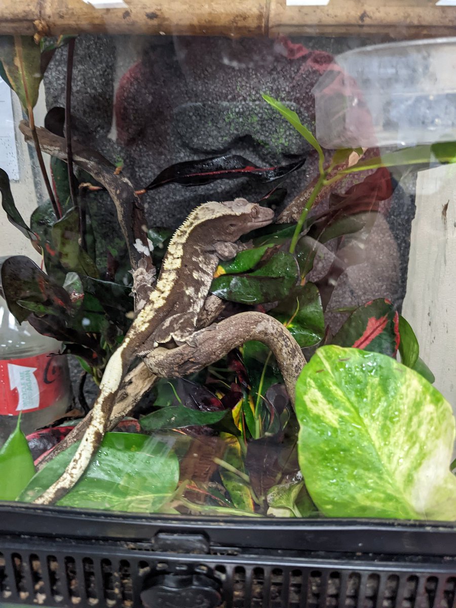 Amy Belding tweet media