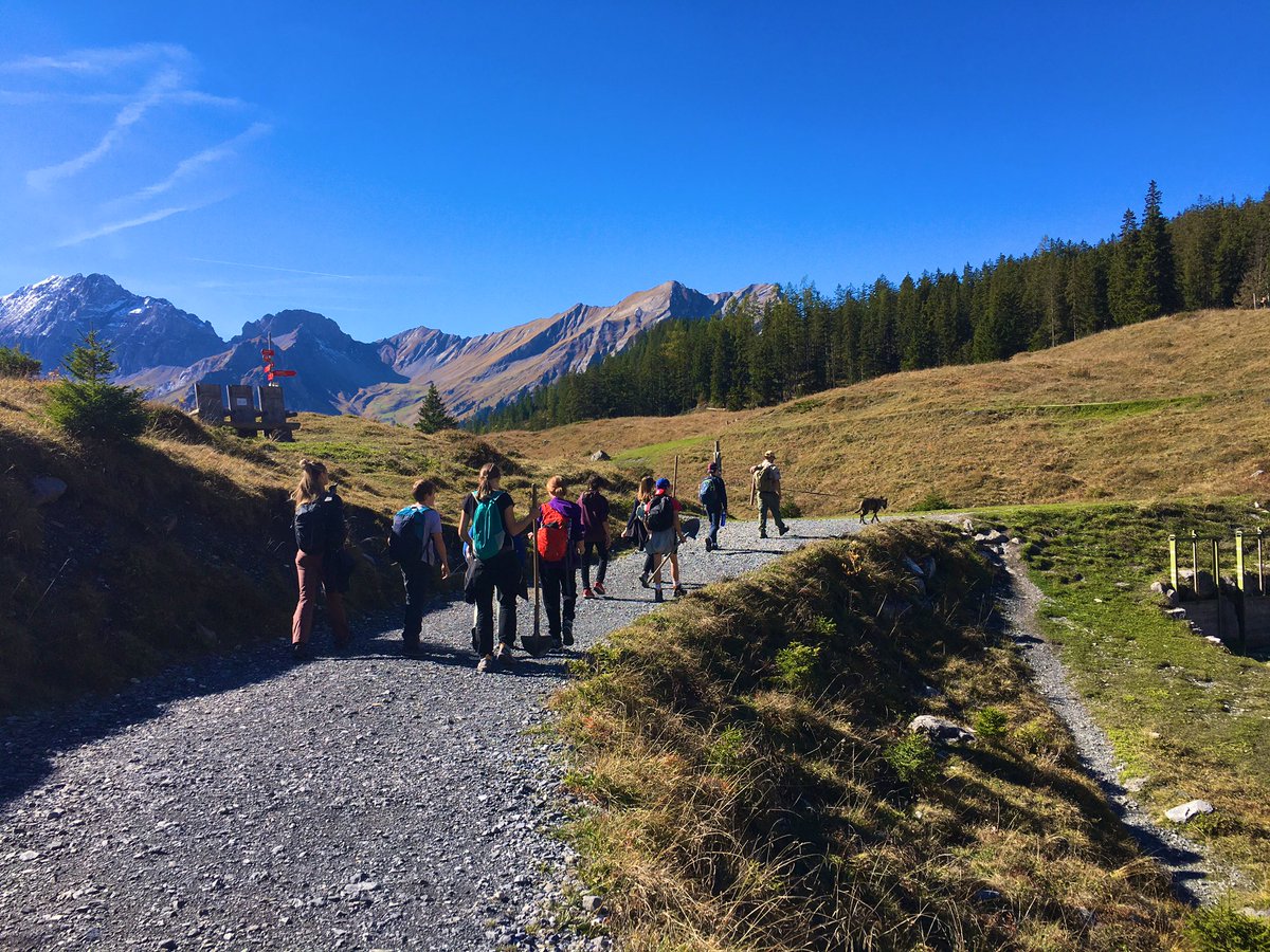 Get Creative tweet media