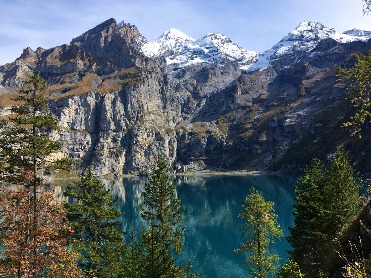 Get Creative tweet media