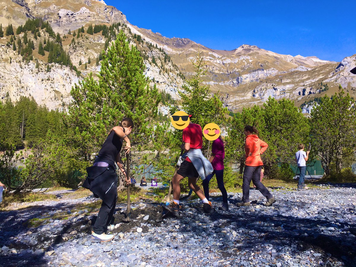 Get Creative tweet media