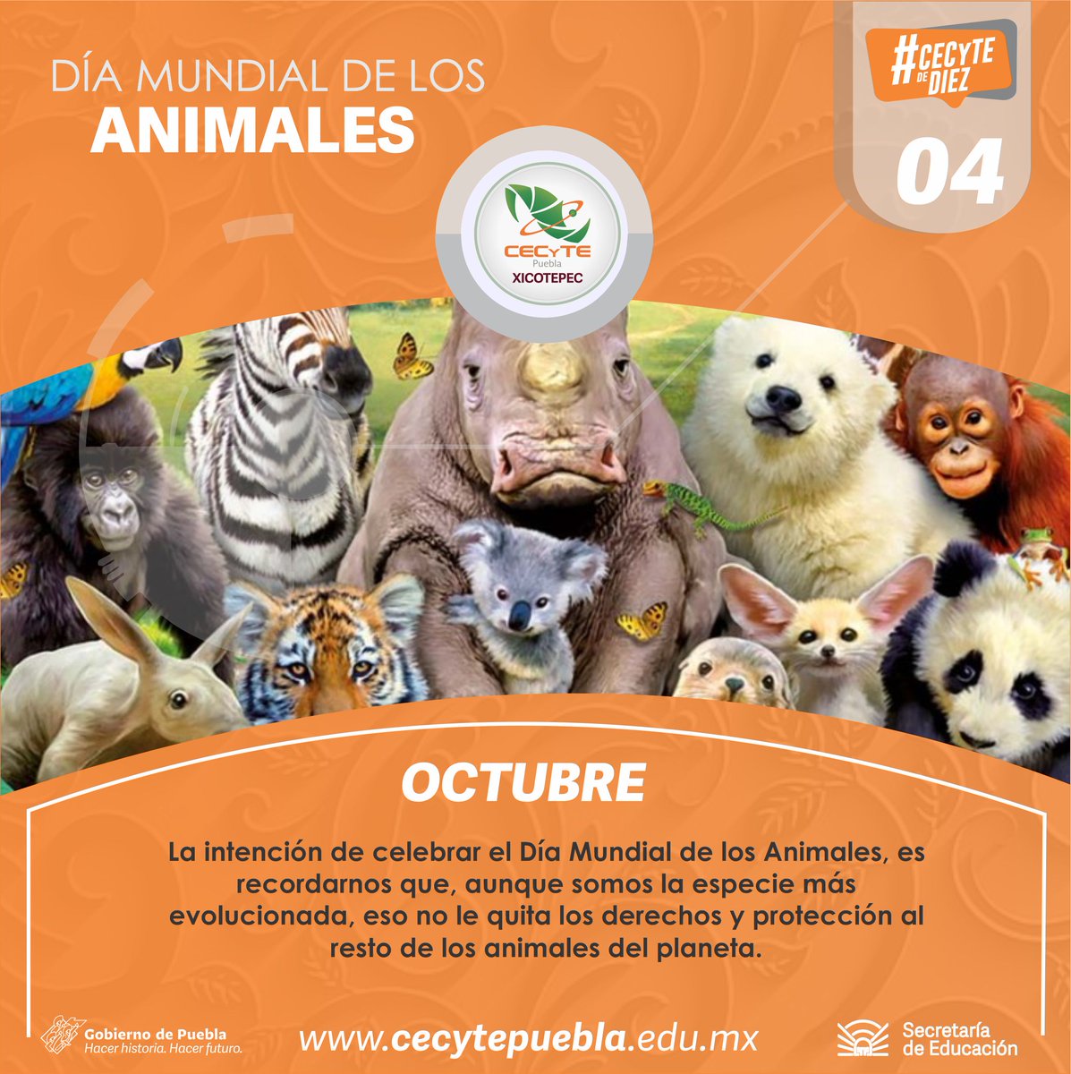 XicotepecCecyte's tweet photo. Una sociedad civilizada también se mide por un comportamiento ético con los animales.  #SomosCECyTE #CECyTEdeDiez https://t.co/8xZMhUR807