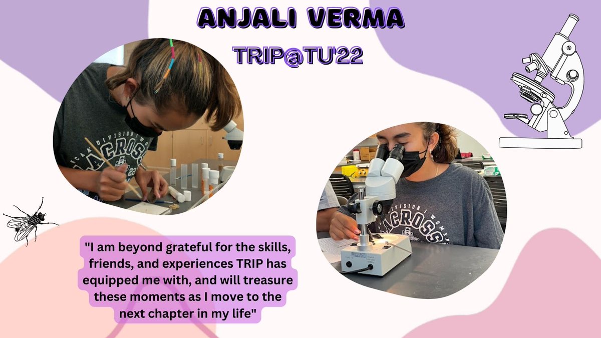 TRIPInitiative's tweet photo. Meet Anjali Verma, a TRIP@TU'22 alum from Pennridge HS. Read her blogs at: https://t.co/UphXDzAtN4

Applications are open for TRIP@WTHS'23! Learn about the program through prior students' experiences on our website at: https://t.co/Uc2xSzHYXc https://t.co/ZVRRPKIs1M