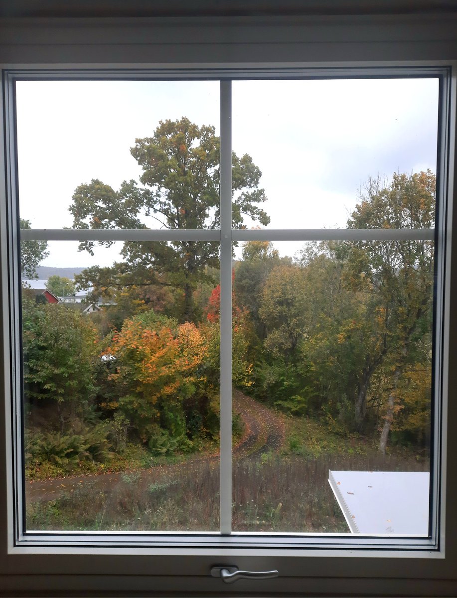 daverking's tweet photo. ...just a few more weeks...
#newhouseporn #kitchenview #almostdone #home https://t.co/OLBqNMtqXv