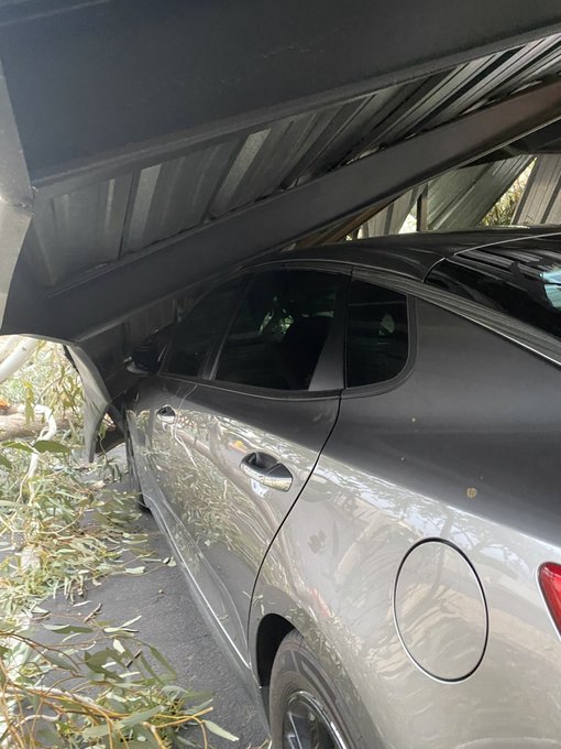 Y&rsquo;all&hellip;. The storm that blew through dropped a tree on the car port thing and then onto my car. Fml. Who<a href="/tag/manyvids"class="tags"><span>#manyvids</span></a><a href="/tag/mvsales"class="tags"><span>#mvsales</span></a>
