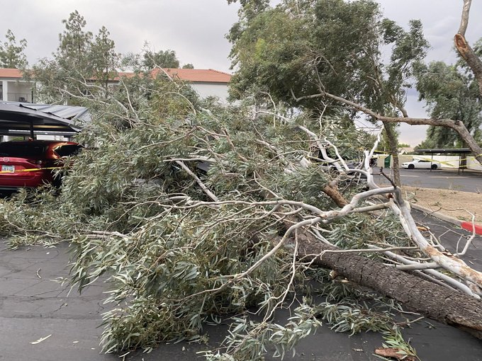 Y&rsquo;all&hellip;. The storm that blew through dropped a tree on the car port thing and then onto my car. Fml. Who<a href="/tag/manyvids"class="tags"><span>#manyvids</span></a><a href="/tag/mvsales"class="tags"><span>#mvsales</span></a>