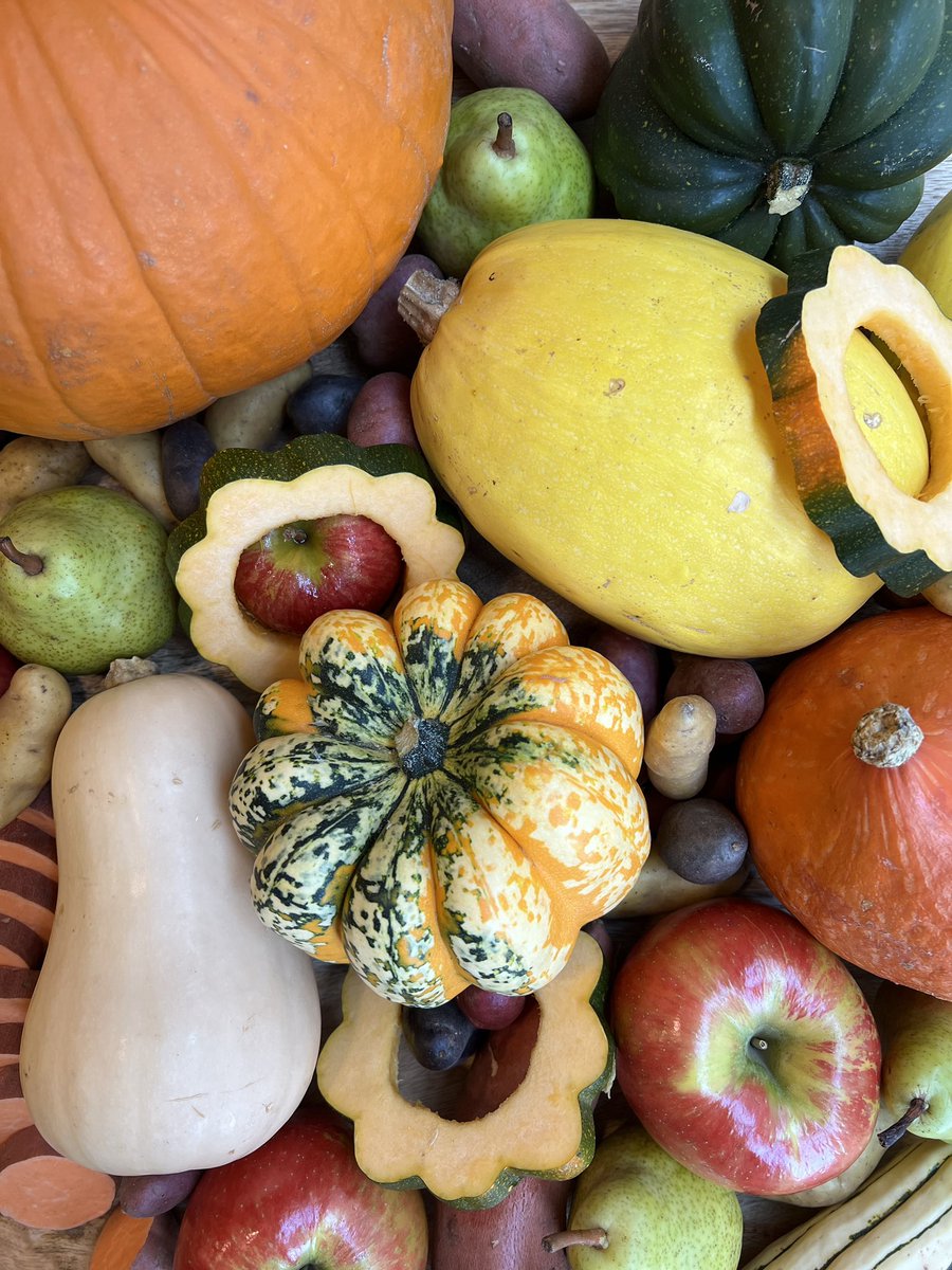 Whole Foods Market (@wholefoods) on Twitter photo Taste the freshest of Fall’s bounty 🍁 🍎 🍠 Bounce in-store before it’s gone. Taste the freshest of Fall’s bounty 🍁 🍎 🍠 Bounce in-store before it’s gone.
