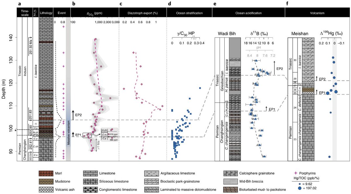 Nature Geoscience (@naturegeosci) on Twitter photo Article: The first pulse of the Permian-Triassic mass extinction was driven by intense weathering, suppressing CO2 while food web collapse and prolonged warming drove the second pulse
<a href="/Jiaheng_SHEN/">Jiaheng Shen</a> <a href="/PearsonGroupEPS/">Pearson Lab</a> <a href="/ChemClimatology/">Yige Zhang/张一歌</a> <a href="/yhsailing/">Yang Huan</a>
nature.com/articles/s4156… Article: The first pulse of the Permian-Triassic mass extinction was driven by intense weathering, suppressing CO2 while food web collapse and prolonged warming drove the second pulse
<a href="/Jiaheng_SHEN/">Jiaheng Shen</a> <a href="/PearsonGroupEPS/">Pearson Lab</a> <a href="/ChemClimatology/">Yige Zhang/张一歌</a> <a href="/yhsailing/">Yang Huan</a>
nature.com/articles/s4156…