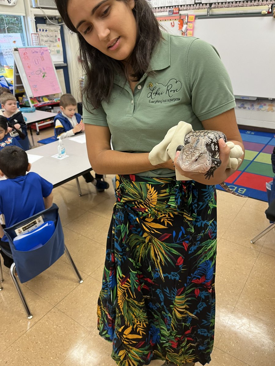 LyncrestSchool's tweet photo. Thank you to the Lyncrest PTO and Lokai Rose for a memorable program for our students. Kicking off Week of Respect teaching diversity through exotic animals! #lyncreststars https://t.co/vEbpyOCtCC