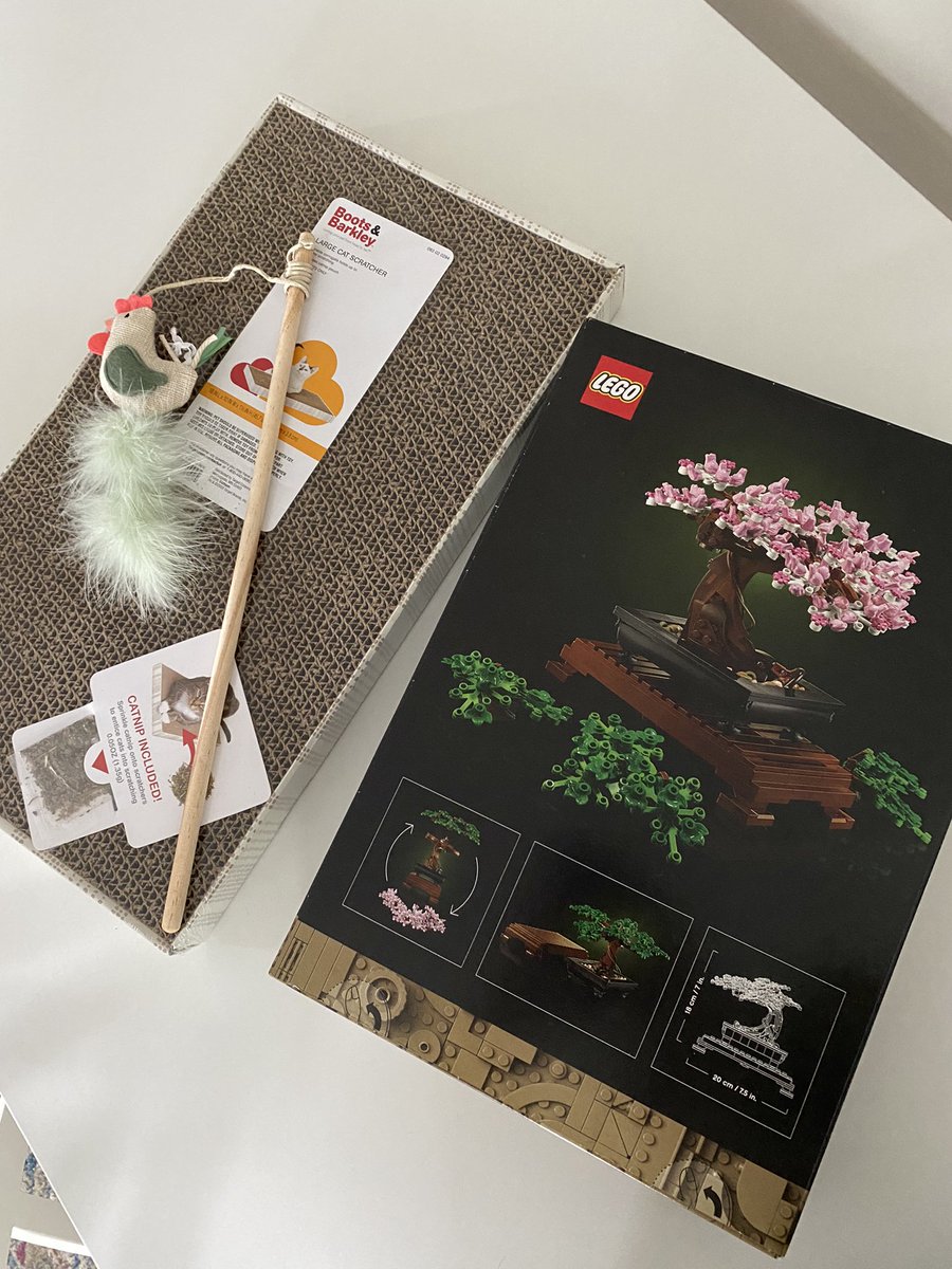 hot pink bitch named breakfast tweet media