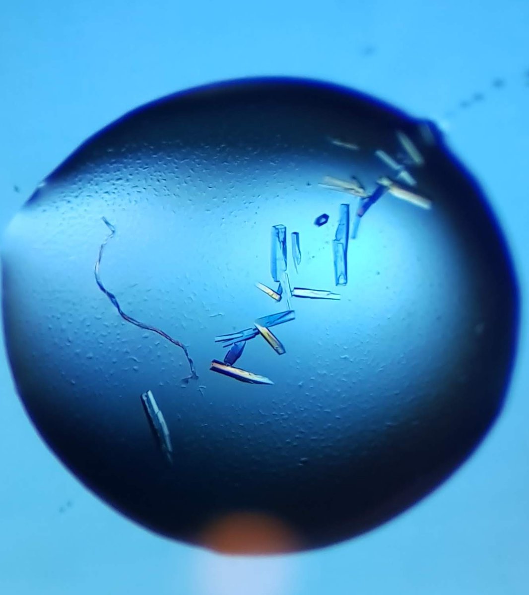 Sigurbjörn Markússon tweet media