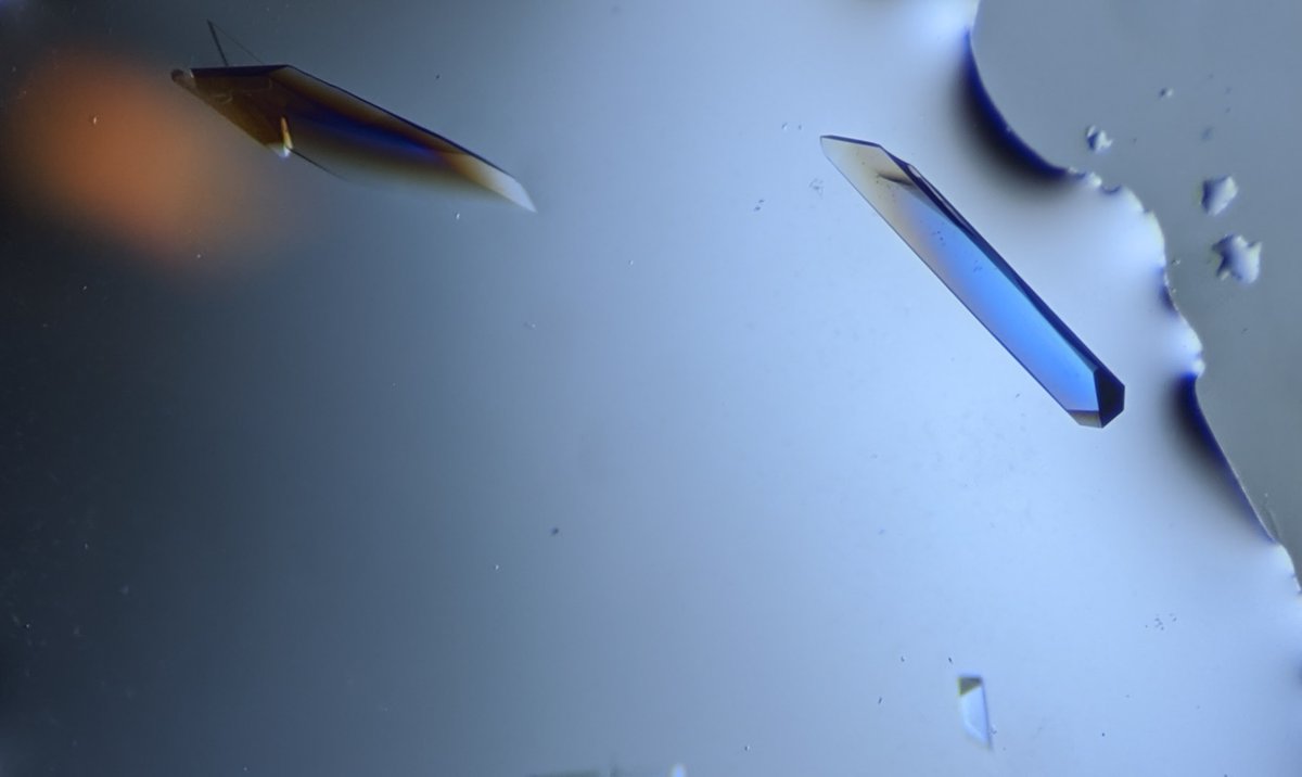 Sigurbjörn Markússon tweet media