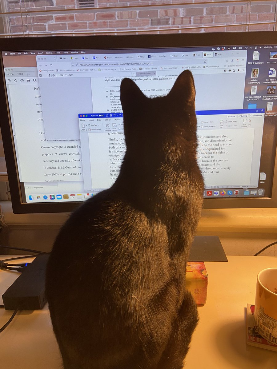 We got up early to write #writingwithcats #nothelping