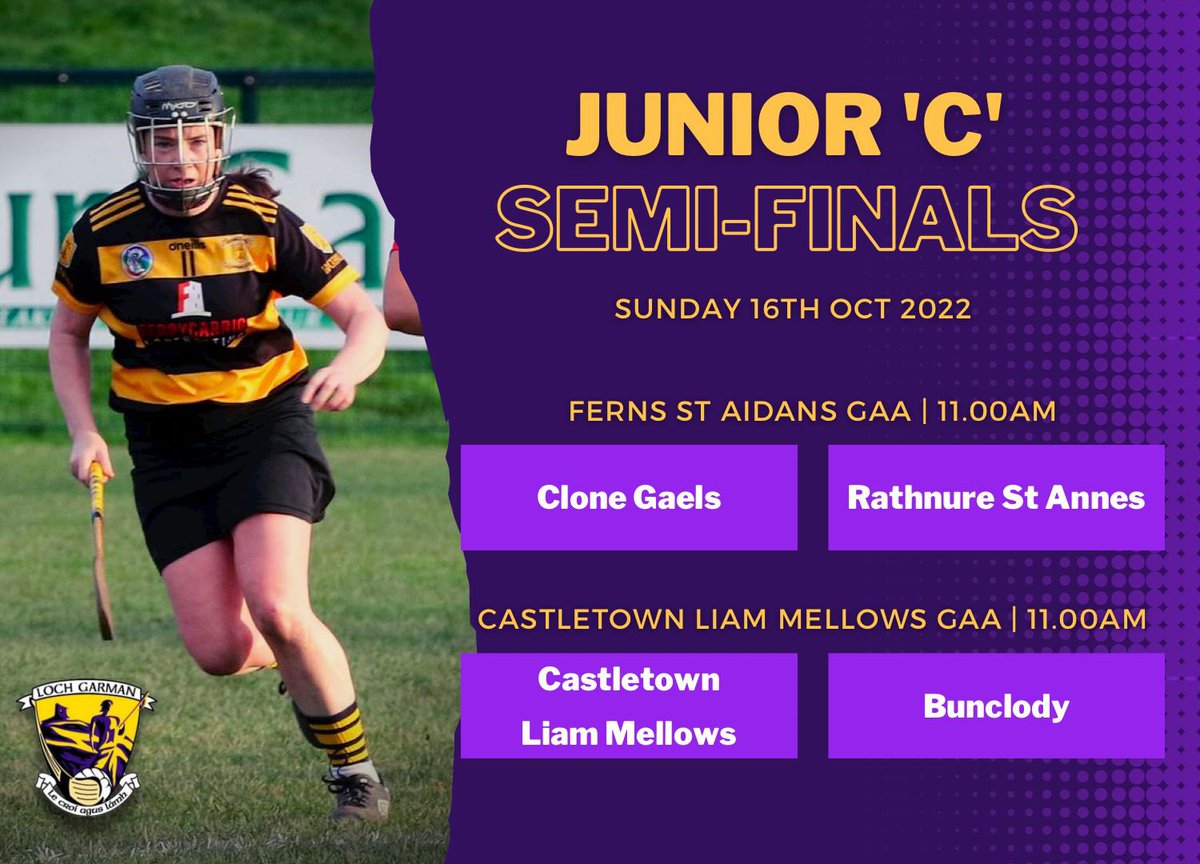 Official Wexford Camogie tweet media