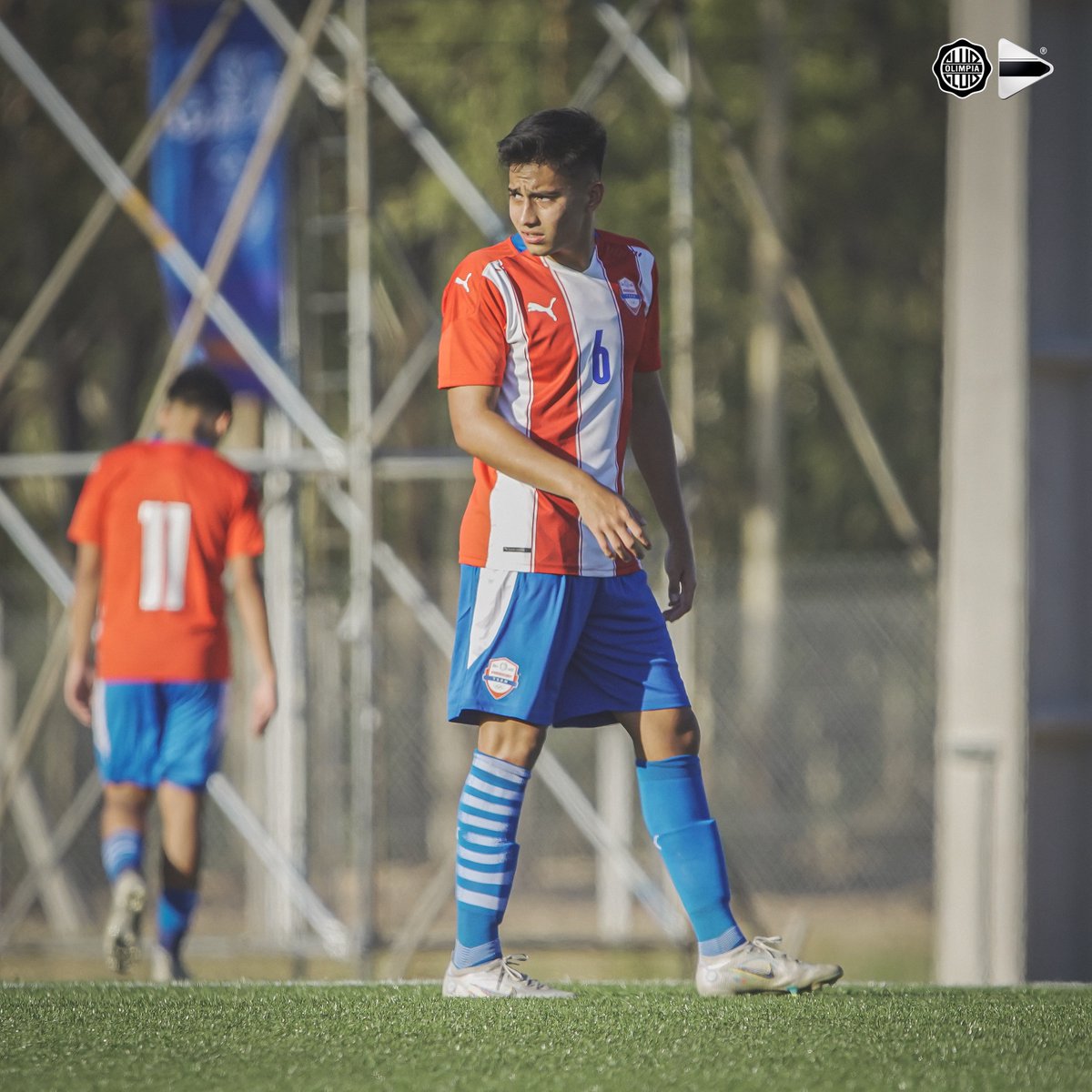 Olimpia Media on Twitter: 