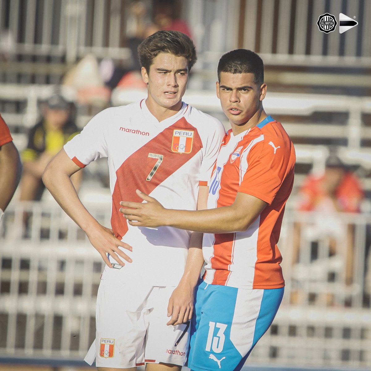 Olimpia Media on Twitter: 