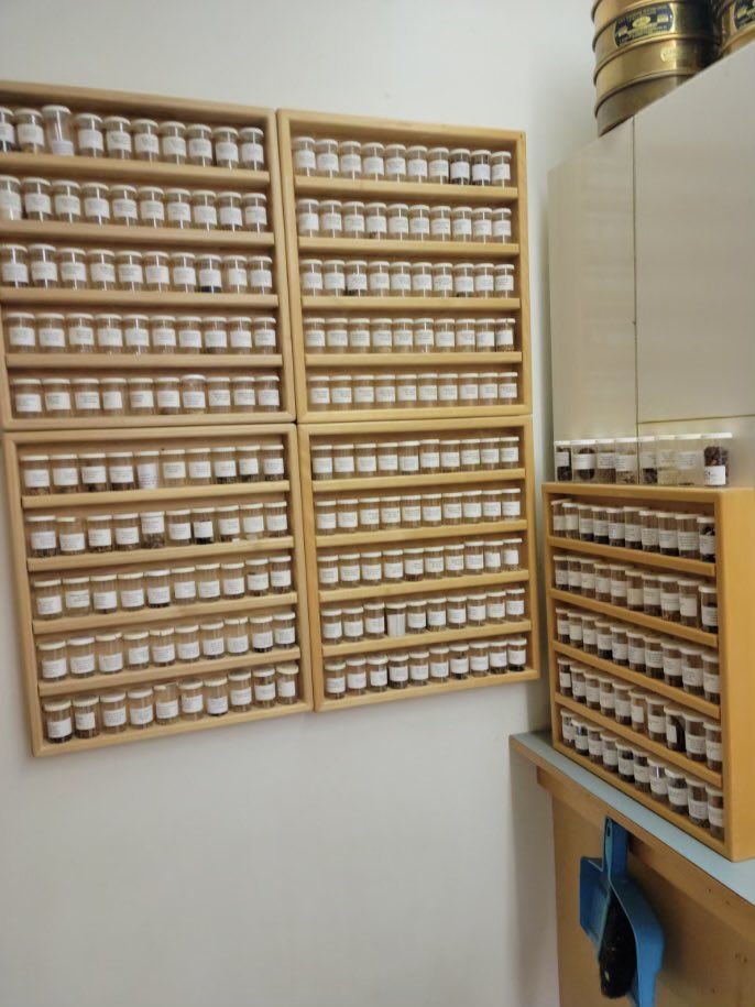 Epitetj's tweet photo. #SeedsandStories #IndigenousSeedCollectionProgram #SeedsForOurFuture #IndigenousSeedCollection Donnie got to spend the morning with one a Canadian seed collection legend Don Piggott at Yellow Point Propagation https://t.co/3cm9ERywQi