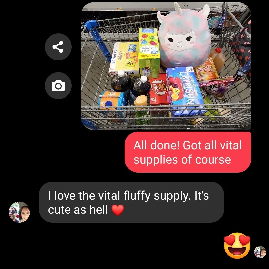 cosydusk's tweet photo. Just pulling my bullshit #Walmart #squishmallows https://t.co/8z0k9WiJjT