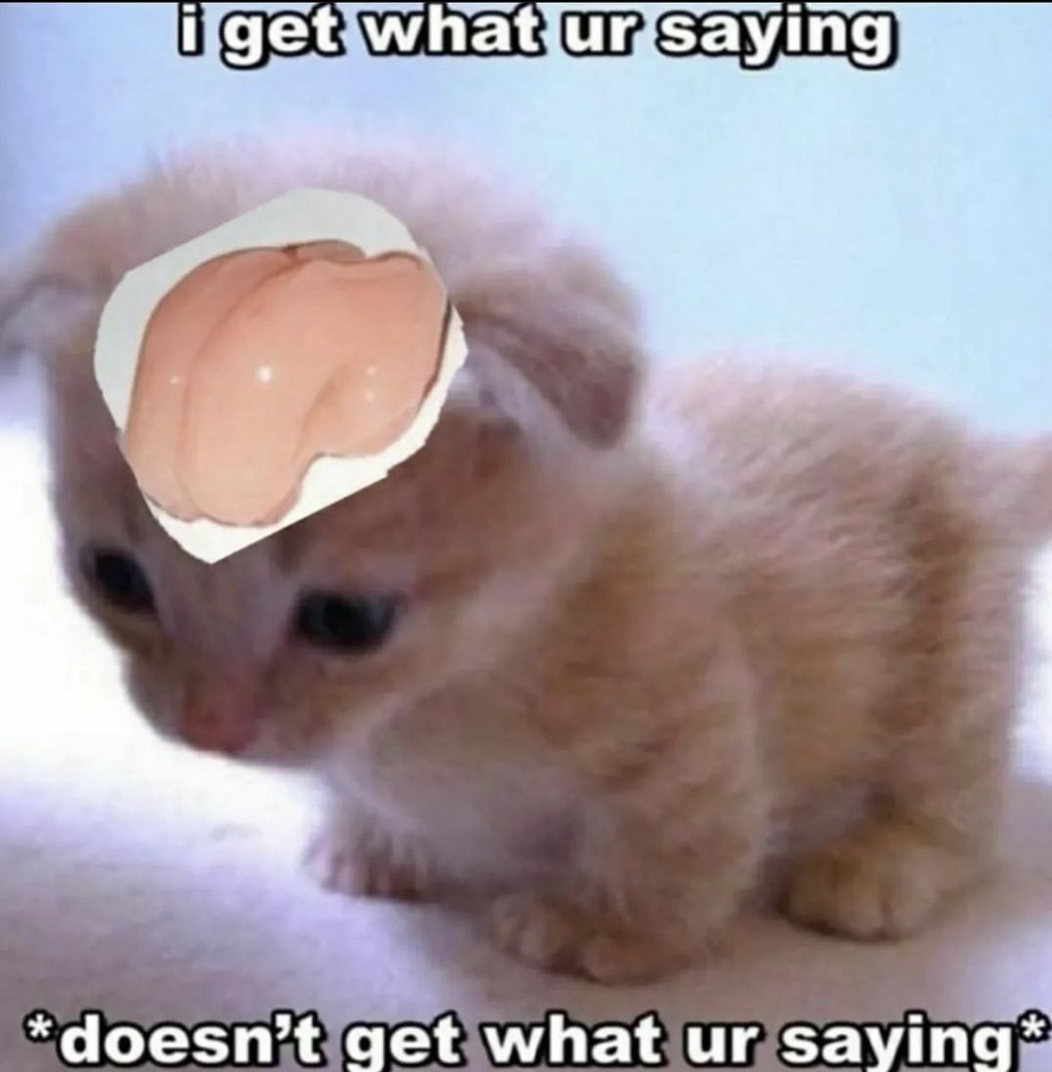 The Notorious J.O.V. (@whotfisjovana) on Twitter photo 