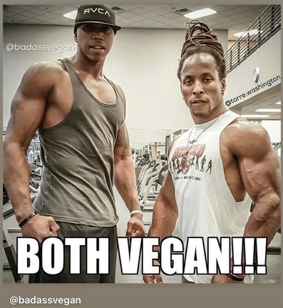 veganfuture's tweet image. 