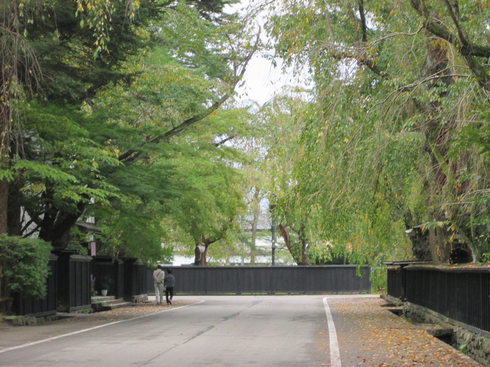 kakunodatekanko on Twitter 