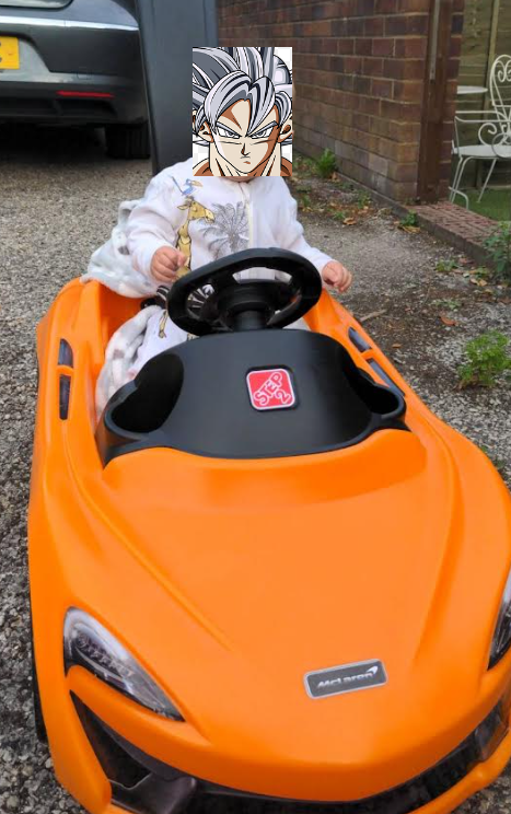 SSjGhost's tweet photo. @McLarenF1 
@LandoNorris
@redbullracing 
@insideFDA 
@AlphaTauriF1
 Seen a few job adverts for your teams now and didn't see any for a driver so thought I'd get in early (sorry, obvious where my loyalties lie...). Say hello to Ophelia (@LandoNorris already has a tweet :) ) https://t.co/NQjnWG6mNT