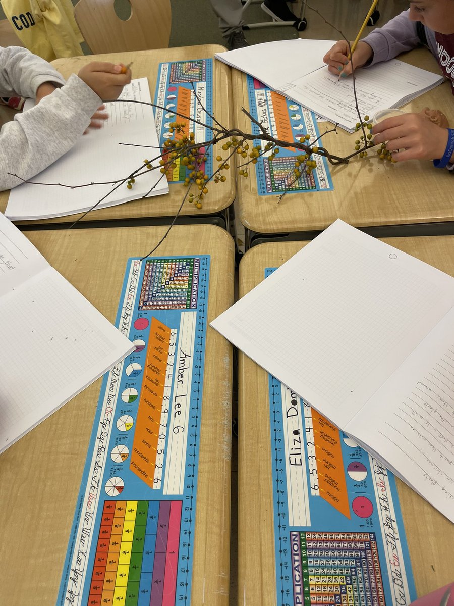 What structures make this Oriental Bittersweet so able to thrive?  G4 Botanists investigate this question.