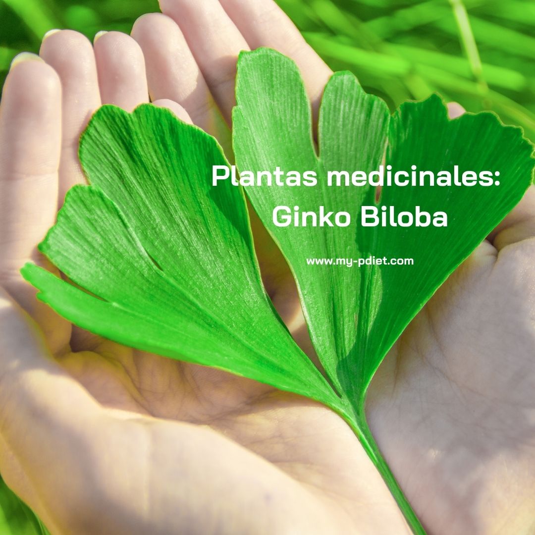 mypdiet's tweet photo. Conociendo plantas medicinales: Ginko Biloba
https://t.co/hRTdS8TDR7
#plantasmedicinales #ginkobiloba#NutricionistaElviraSanchez #barcelona #TipsMyPDC #tipsmypdc #healthy #healthyfood https://t.co/oB4bfHmkgC