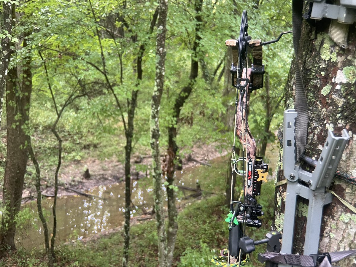 BrofessionalHNT's tweet photo. Ready for a rutcation! 🏹🦌
•
•
•
#chasingnovember #rut #rutcation #deerhunting #deerseason #hunt #bowhunting #bowseason #outdoors #bigbucks #hunting https://t.co/t1BTaceuUW