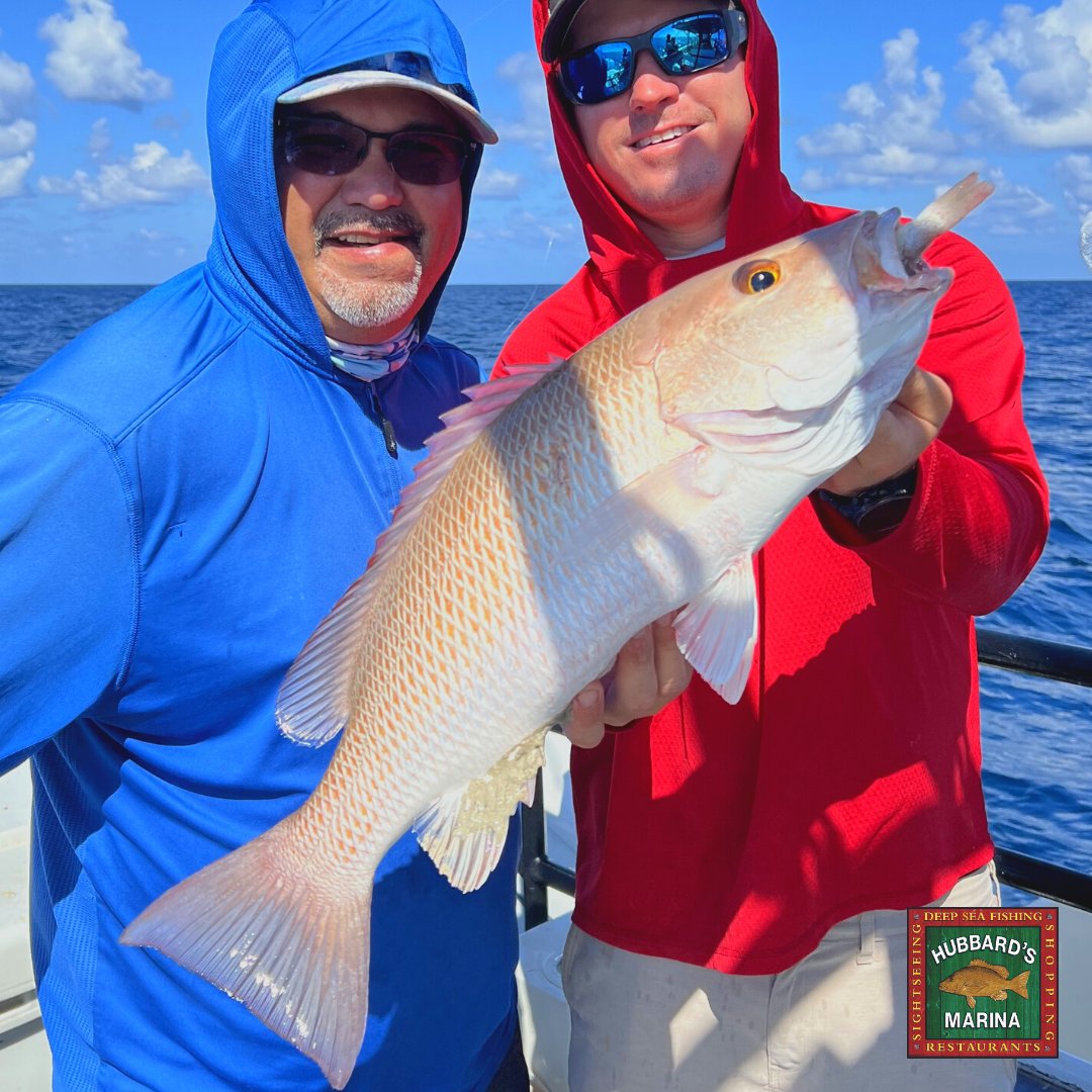 hubbardsmarina's tweet photo. Nothing like some fun in the sun!
#HubbardsMarina established 1928
.
.
.
.
.
.
#Florida #JohnsPass #MadeiraBeach #OffshoreFishing #FishingCharter #GatorJimsTackle #BassProShops #ReelAnimals #SaltStrong #Yamaha #EngelCoolers #Garmin #HubbardsMarinaFishing #DeepSeaFishing https://t.co/IWSz9vrzKD