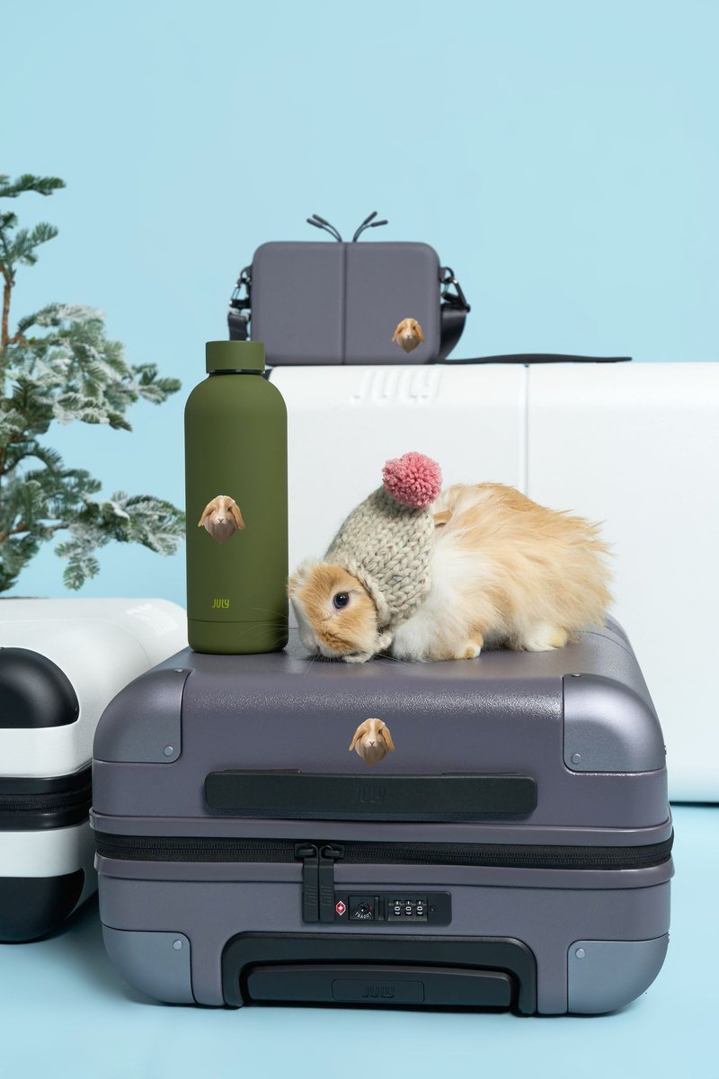 Introducing Petsonalisation. For everyone who’s ever wished they could travel with their best bud.  It’s simple. Send us a photo of your best bud, then we’ll illustrate it and print it on your luggage. Petsonalise now at july.com.  #july #pets #personalisation