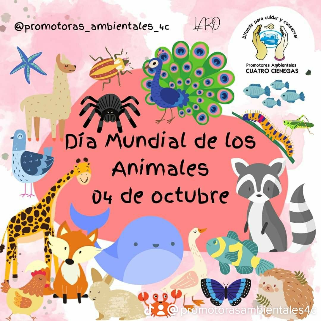 promotoras4c's tweet photo. Celebramos el Día Mundial de los Animales, recordemos que dentro de nuestra Área Natural Protegida contamos con una gran variedad de fauna, a la cual debemos de proteger y respetar
#cca4c #pa4c #ConservarParaVivir #promotorasambientales4c #apffc #CONANP #cuatrocienegas https://t.co/V8wn54hdQb