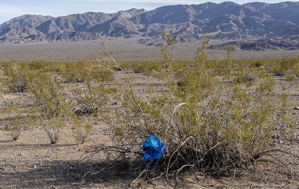 Trash pollution is a concern for every species, including the desert tortoise. Garbage such as balloons can potentially entangle tortoises or be mistakenly consumed. We encourage you to #leavenotrace & pick up trash while hiking or exploring nature. #deserttortortoiseweek 📷USFWS