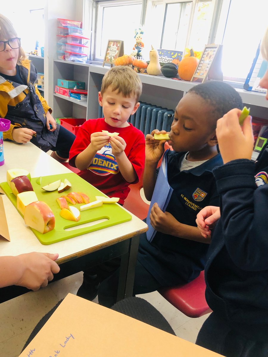 Trying four different types of apples in kindergarten today <a href="/StBonaventures/">St. Bon's 🇨🇦</a> bitter, sweet, and sour were among some of the words used to describe them 🍎